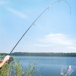 Black Fishing Rod for Pets Fish